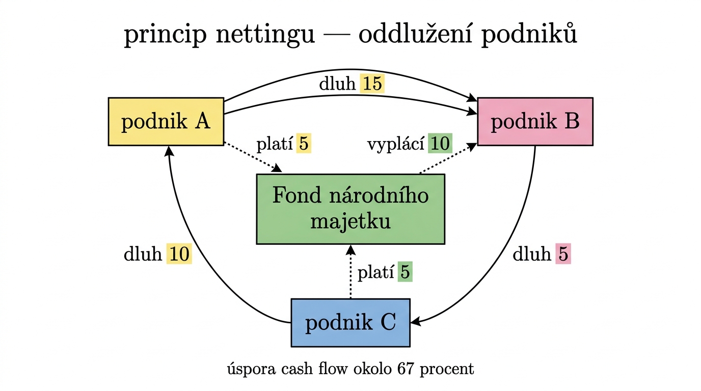 irmank-oddluzeni-debt-netting